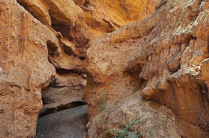 1 Day to Burana Tower, Kok Moinok Canyon, Hot Springs - FAQ