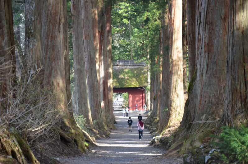 1-Day Togakushi: Soba making, Ninja Town and Hidden Shrines - Exploring Togakushi: A Cultural and Spiritual Journey