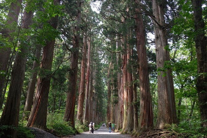 1-Day Togakushi Tour: Soba making, Ninja Town, and Hidden Shrines - 1-Day Togakushi Tour: Soba Making, Ninja Town, and Hidden Shrines – A Detailed Review