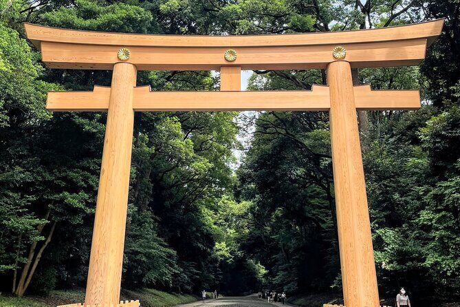 1-Day Tokyo Bus Tour - Exploring the Itinerary in Detail