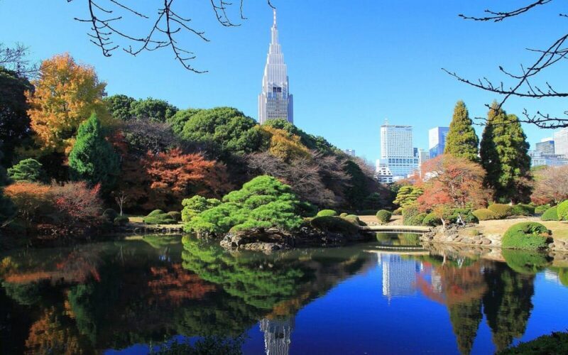 1-Day Tokyo Essence: Temples, Towers & Tradition Tour - Who Will Love This Tour?