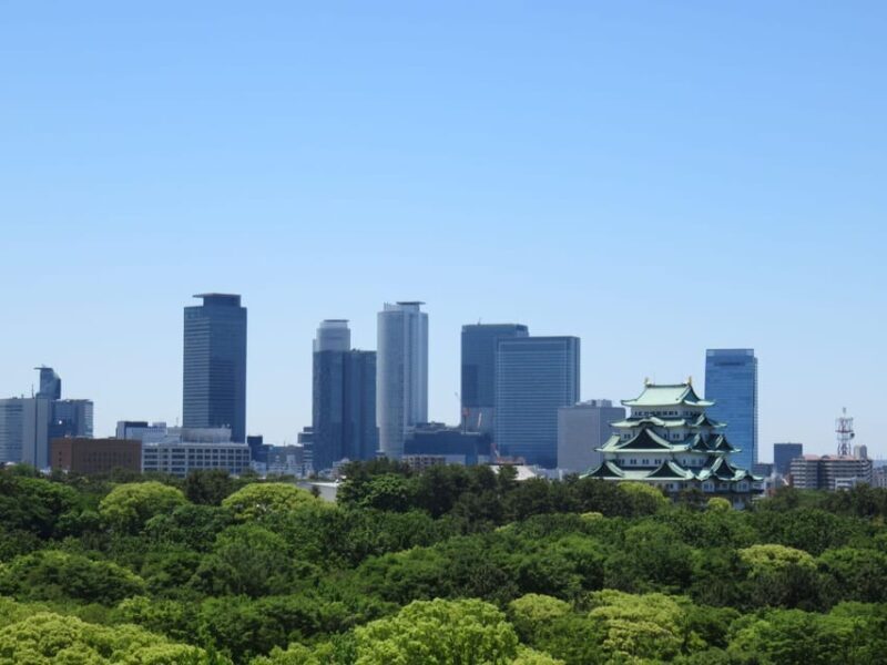 1-Day Tour: Eat Like a Local in Nagoya - Key Points