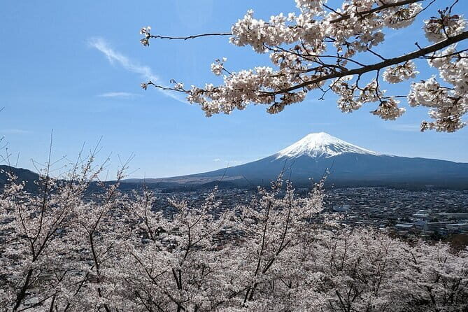1 Day Tour Explore Nikkos World Heritage and National Park - The Opulent Taiyuin Temple and Tokugawa Enshrinement