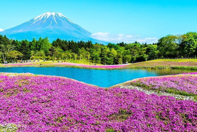 1 Day Tour Explore Nikkos World Heritage and National Park - Transport, Value, and Practical Tips