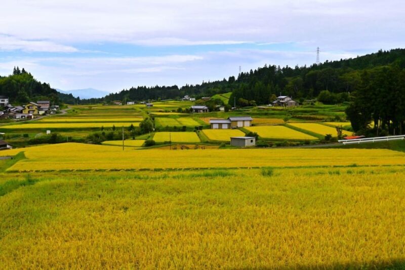 1-Day Tour from Nagoya: Hiking the Historic Nakasendo Trail - Introducing the Nakasendo Trail Experience