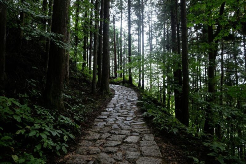 1-Day Tour from Nagoya: Hiking the Historic Nakasendo Trail - Practicalities and Value