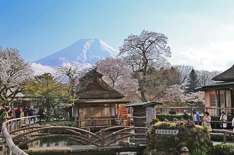 1 Day Tour : Mount Fuji and Hakone - Introduction