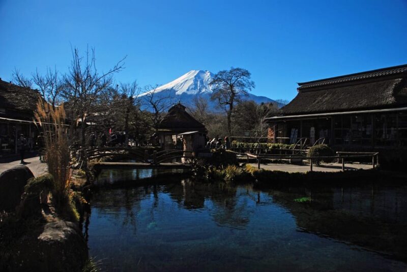 1 Day Tour : Mount Fuji and Hakone - Who Should Consider This Tour?