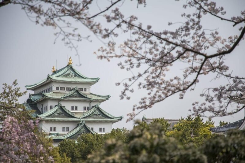 1-Day Tour: Nagoya Castle, Gardens & Historic Estate - A Closer Look at What This Tour Offers
