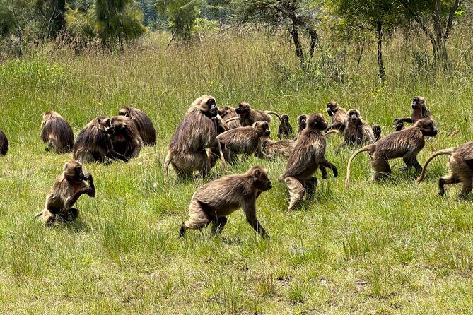 1-Day Tour Old bridge, Monastery,water falls Wildlife,Birds, - Authentic Perspectives from Travelers