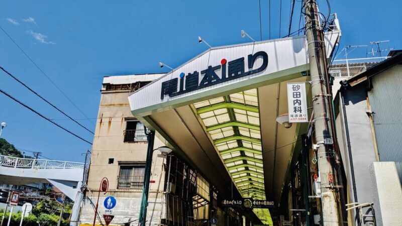 1-Day Tour: Onomichi Temples & Saijo Sake Tasting - Final Words