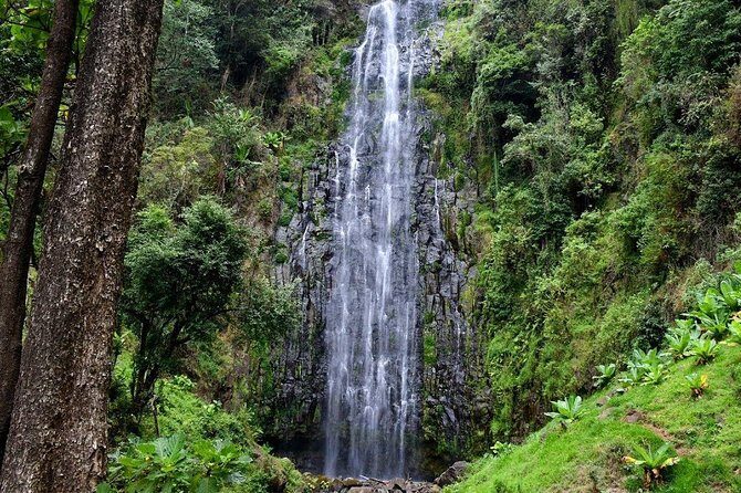 1 Day Tour to Materuni Waterfalls and Coffee Tour - Who Will Love This Tour?