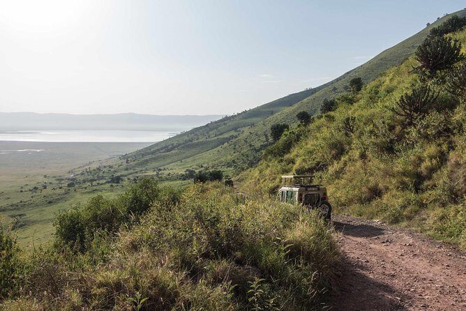 1-Day Tour to Ngorongoro Crater - Setting the Scene: What to Expect on This Tour
