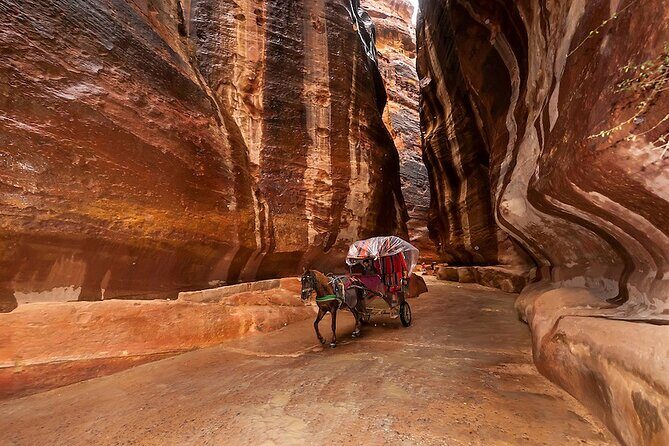 1 Day Tour to Petra From Eilat - Authentic Experiences and Authenticity