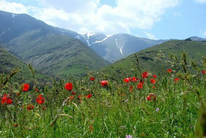 1 Day Tour to Shakhrisabz: Motherland of Amir Temur - FAQ
