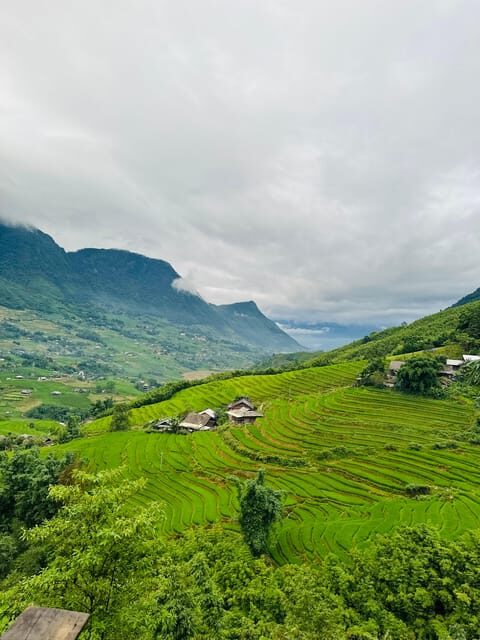 1 DAY Trek the Most Beautiful Villages of Sapa & Local Guide - Authentic Insights from Fellow Travelers