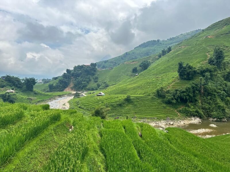 1 DAY Trek the Most Beautiful Villages of Sapa & Local Guide - The Sum Up