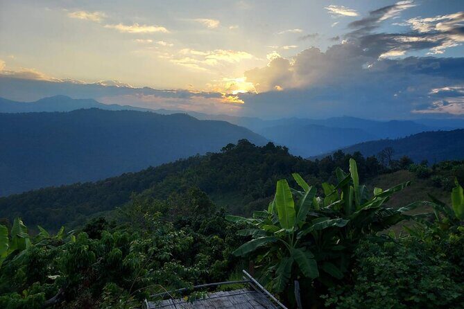 1 Day Trekking in Chiang Mai - A Deep Dive into the Experience