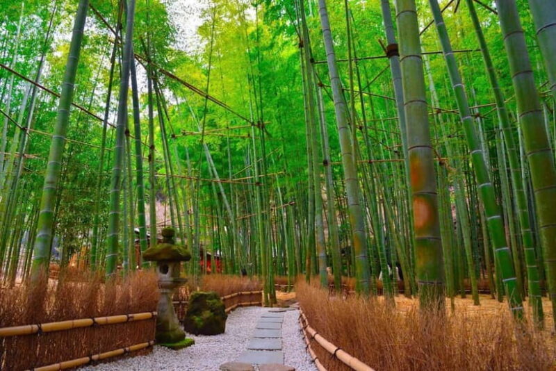 1-Day trip: Kamakura City (Enoshima/Shonan/Beach) - Pricing Analysis and Value