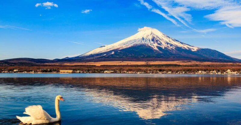 1-Day trip: Mt Fuji + Kawaguchi Lake area - Final Thoughts