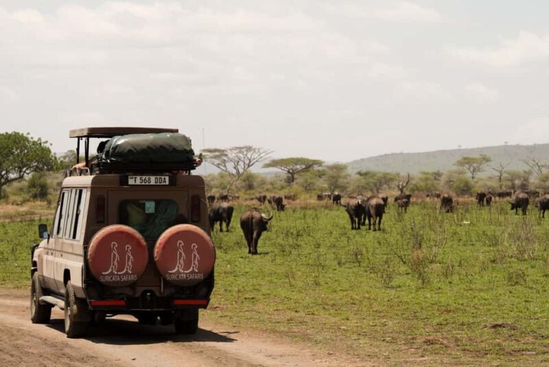1 Day Trip Tarangire National Park - Key Points