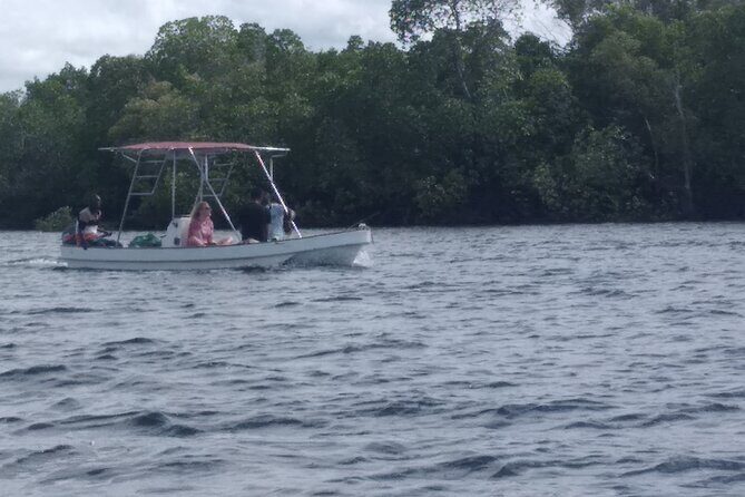 1 day trip to Funzi island - Discovering Funzi Island: The Ultimate Day Trip