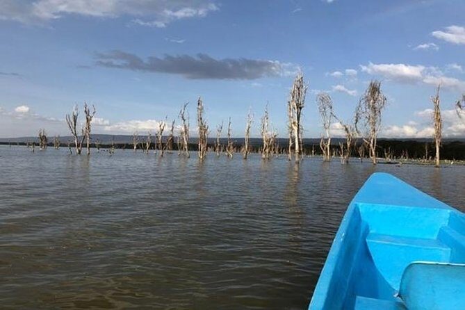 1 Day trip to Hells Gate and Lake Naivasha From Nairobi - Final Thoughts