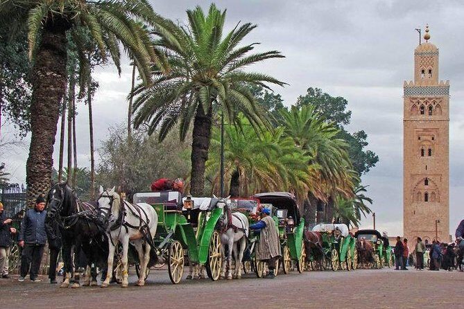 1 Day trip to Marrakech from Agadir with group including guide - Key Points