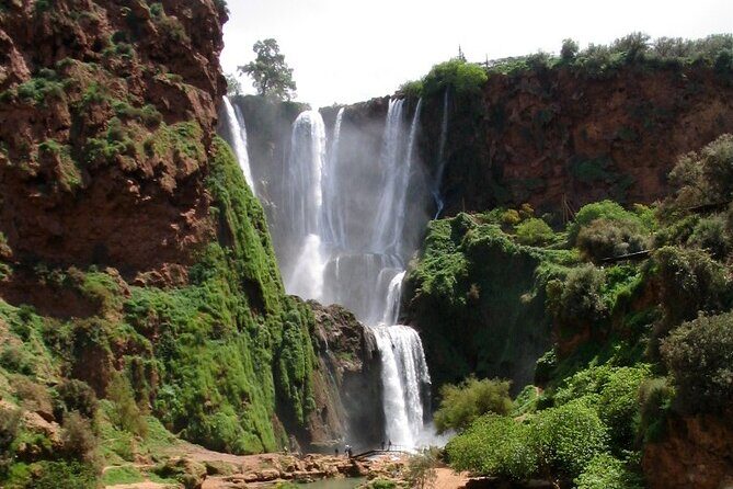 1-Day Trip To Ouzoud Falls From Marrakech - Pricing and Value