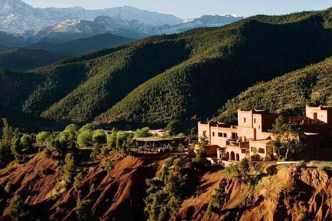 1-Day Trip To Ouzoud Falls From Marrakech - Authentic Experiences and Practical Tips