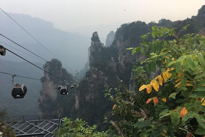 1 Day Trip to Zhangjiajie National Forest Park & Avatar Mountain - Practical Tips
