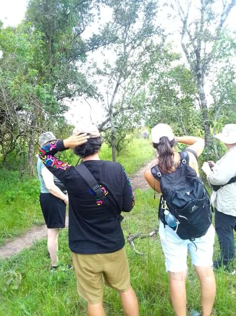 1 day trip to Ziwa Rhino sanctuary - An Honest Look at the Ziwa Rhino Sanctuary Day Trip