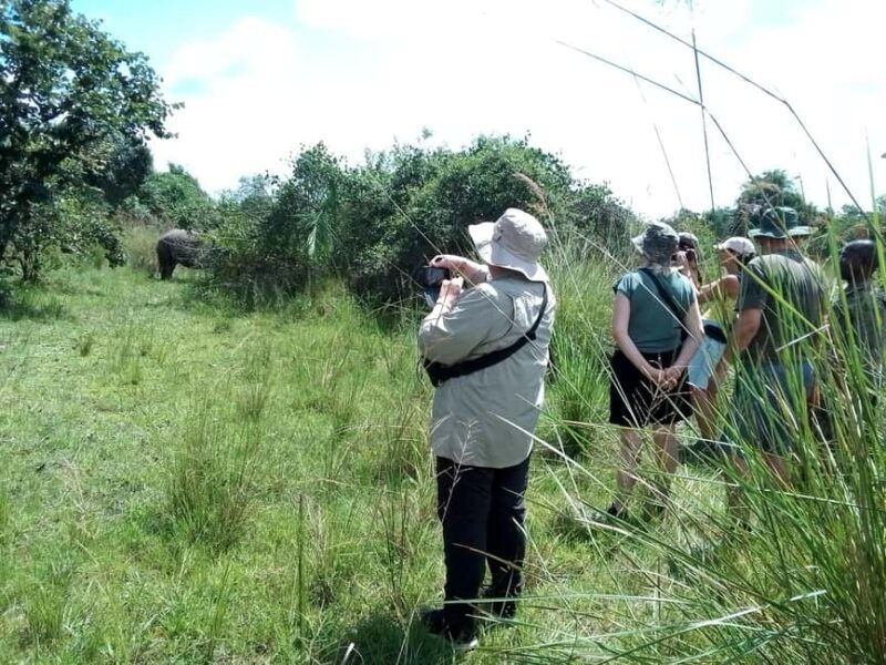 1 day trip to Ziwa Rhino sanctuary - FAQs