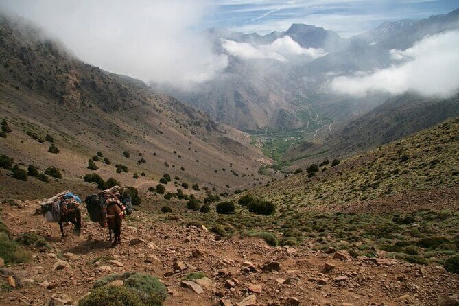 1-Day tripTour from Marrakech to Imlil in Atlas Mountains - Transport and Flexibility: Why It Matters
