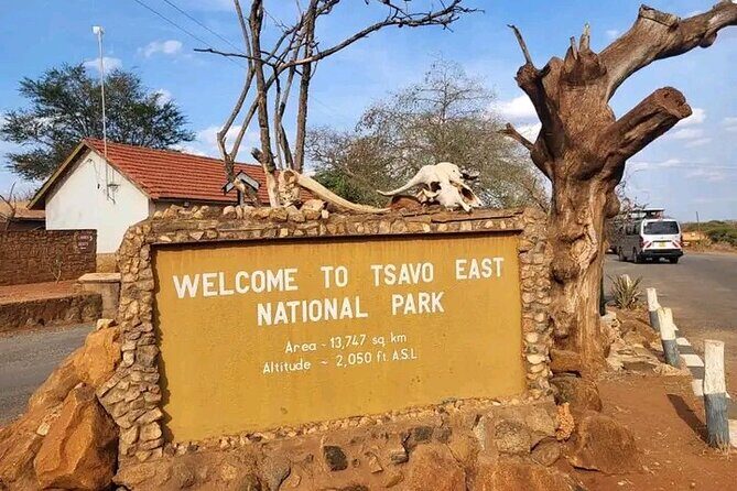1 Day Tsavo East Safari Discovery of Kenya's Wildlife - Introduction