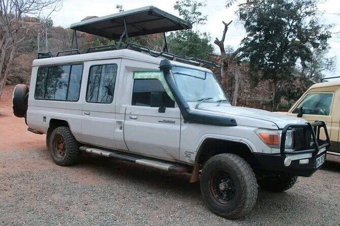 1 Day Tsavo East Safari Discovery of Kenya's Wildlife - The Value of a Well-Organized Safari