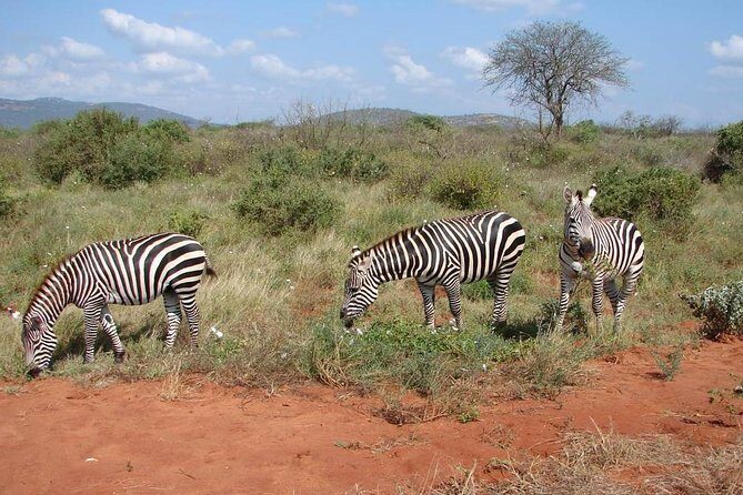 1-Day Tsavo East Safari From Mombasa - Exploring the 1-Day Tsavo East Safari From Mombasa: An In-Depth Review