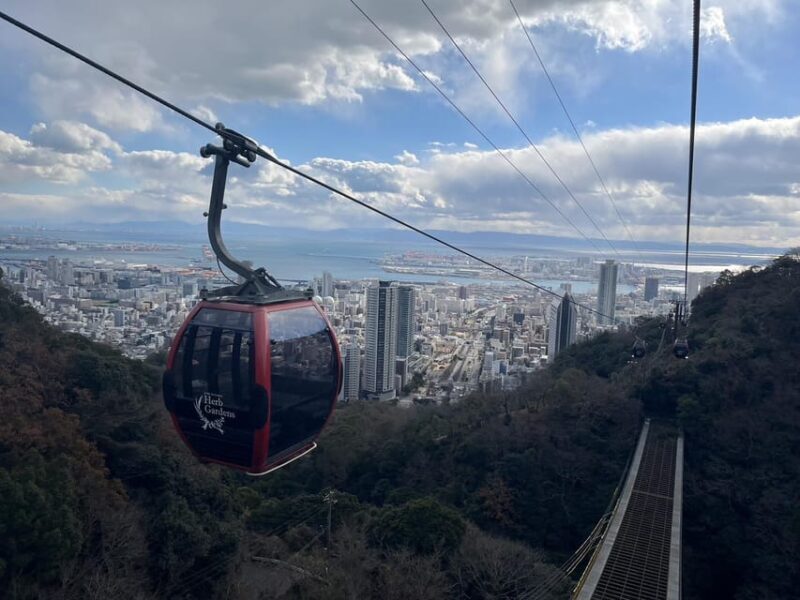 1-Day Walking Tour around Kobe : Mountains, Sea and Sake - Who Would Enjoy This Tour?