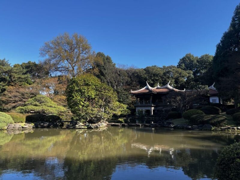 1 Day Walking Tour in Shinjuku and Shibuya: The Best of Both - Who Will Love This Tour?