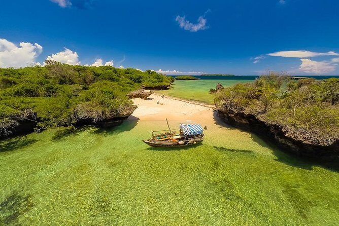 1 Day Wasini Dolphin Tour - An In-Depth Look at the Experience