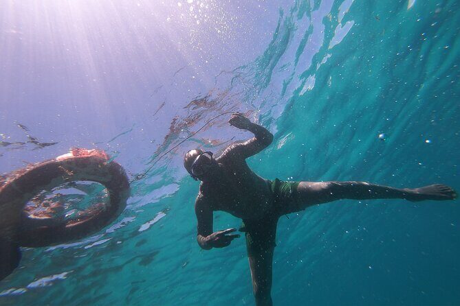 1 Day Wasini Dolphin Tour - Final Word
