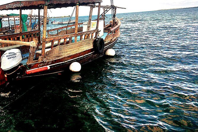 1 day wasini island ( Kisite Marine park) - Overview of the Experience