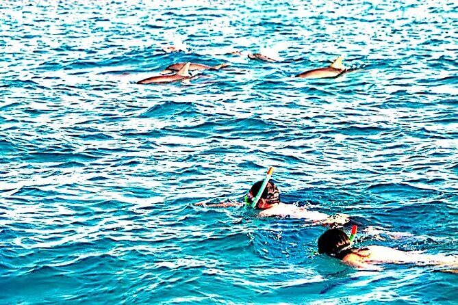 1 day wasini island ( Kisite Marine park) - FAQ