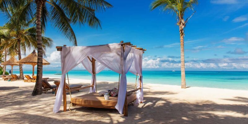 1 Day: Zanzibar trip to Spice and Forest - The Experience Provider