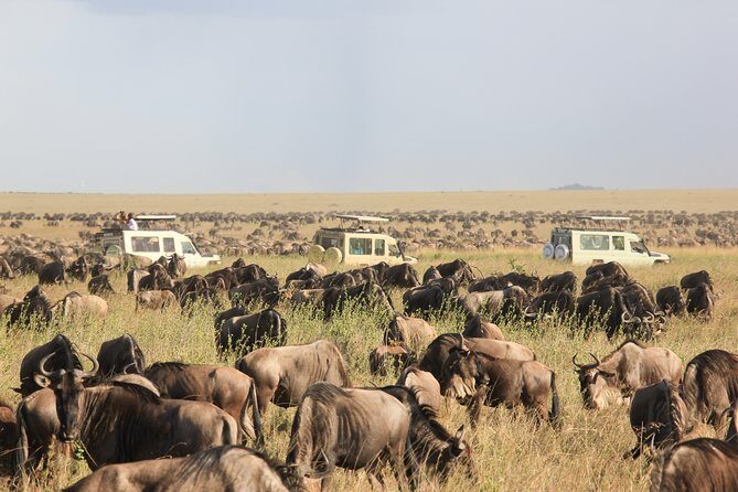 1 days Tanzania Sharing Joining group Safari - Ngorongoro Crater - The Itinerary Breakdown