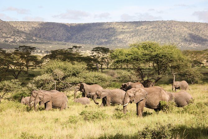 1 days Tanzania Sharing Joining group Safari - Ngorongoro Crater - Things to Keep in Mind