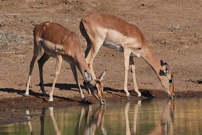 1 days Tanzania Sharing Joining group Safari - Ngorongoro Crater - Final Thoughts
