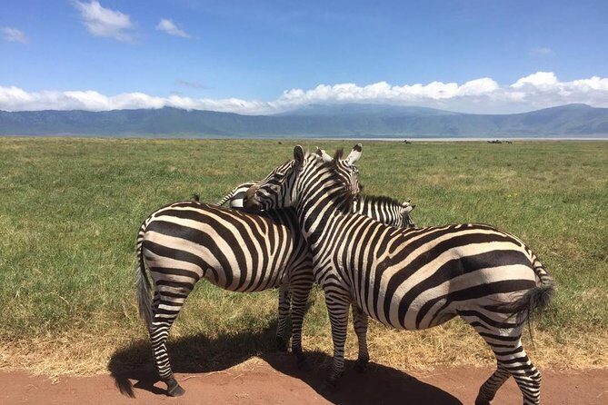 1 Daytrip Amazing to Ngorongoro Crater from Arusha or Moshi - Introduction