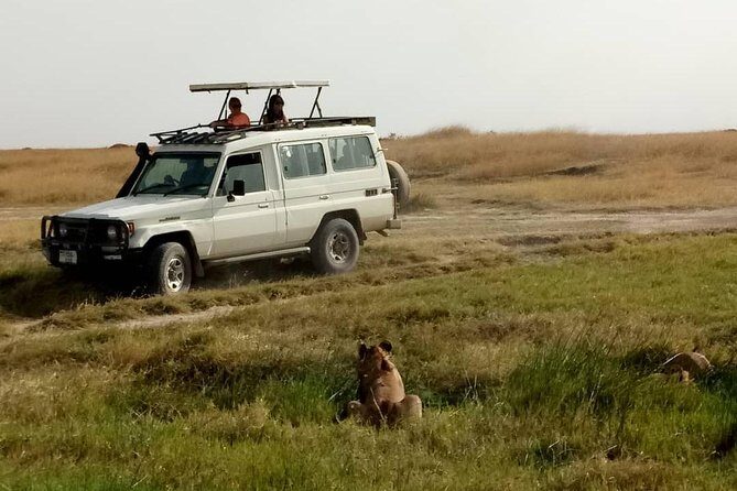 1 Daytrip Amazing to Ngorongoro Crater from Arusha or Moshi - FAQ