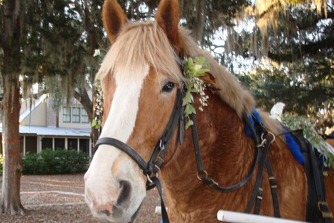 #1 Historical Horse Drawn Carriage Tour - An Intimate Journey Through Beaufort’s Historic Streets